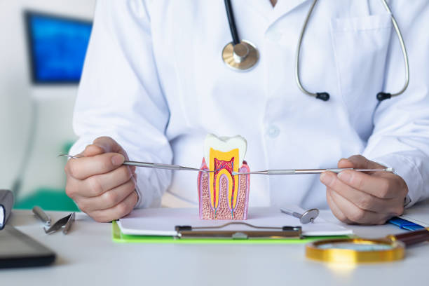 Best Emergency Dental Care for Broken or Chipped Teeth in Lexington, IL